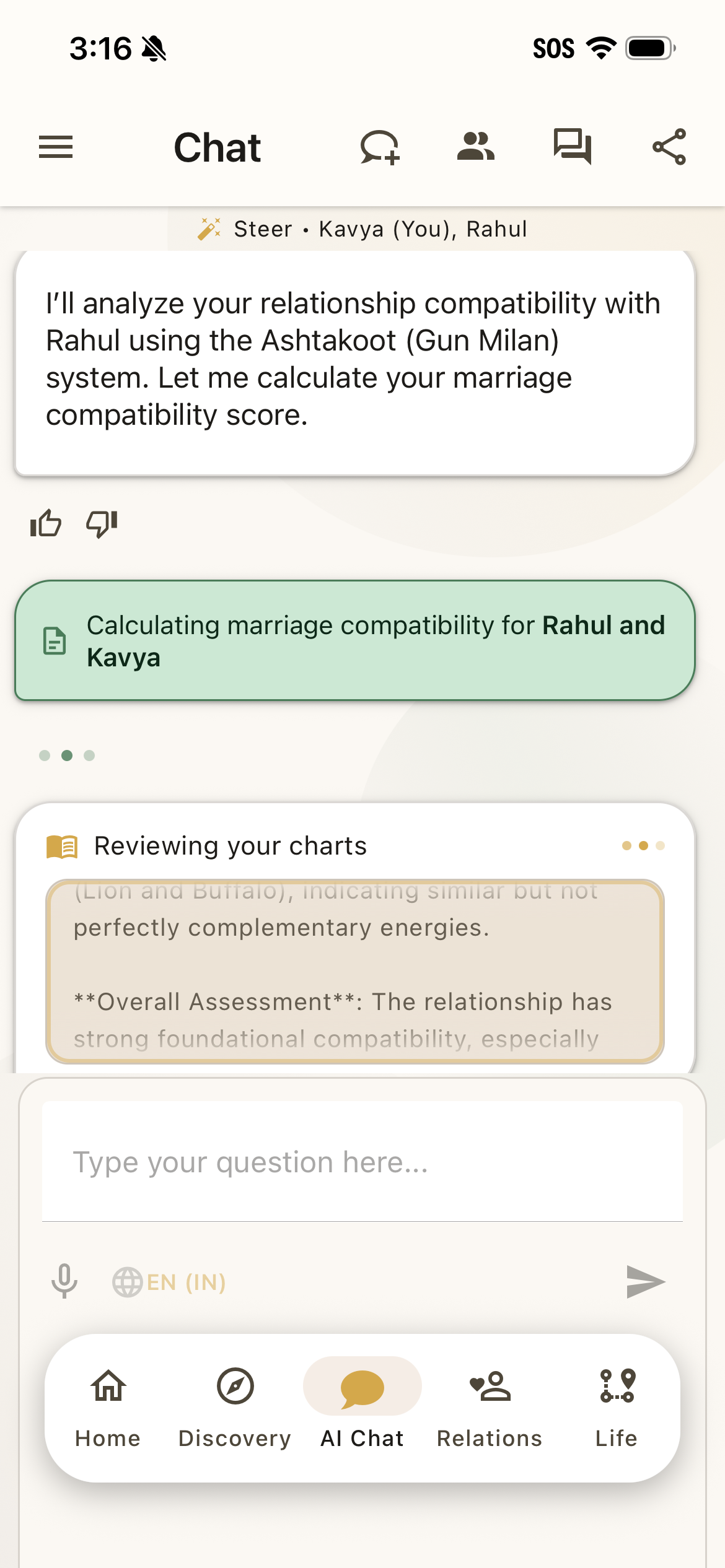 Steer AI chat answering life questions about career and relationships