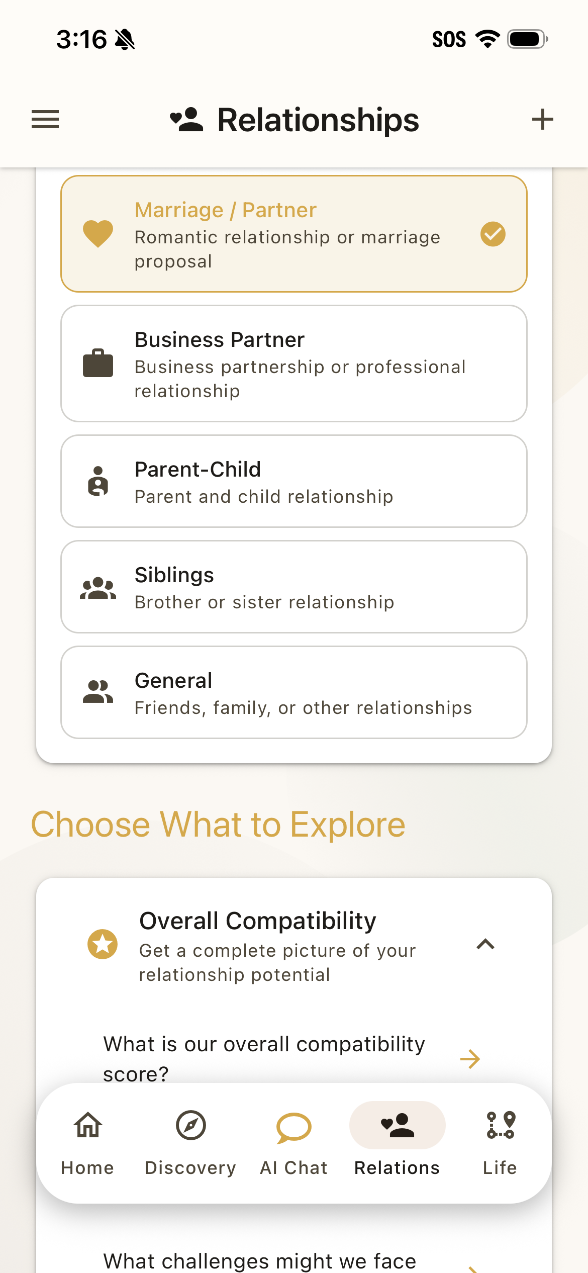 Steer relationship compatibility analysis for partners and family